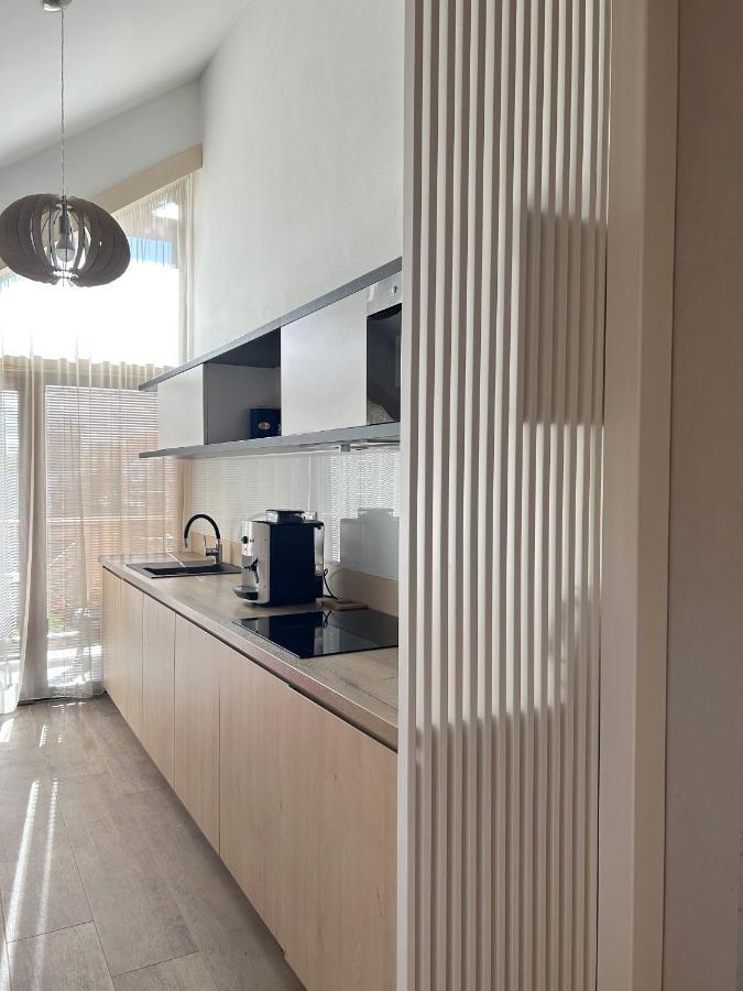 Moderny Apartman Swen S 2 Terasami 塔查斯卡-鲁穆尼卡 外观 照片